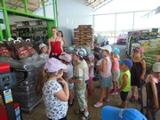 Celodenní výlet Mnichovo Hradiště